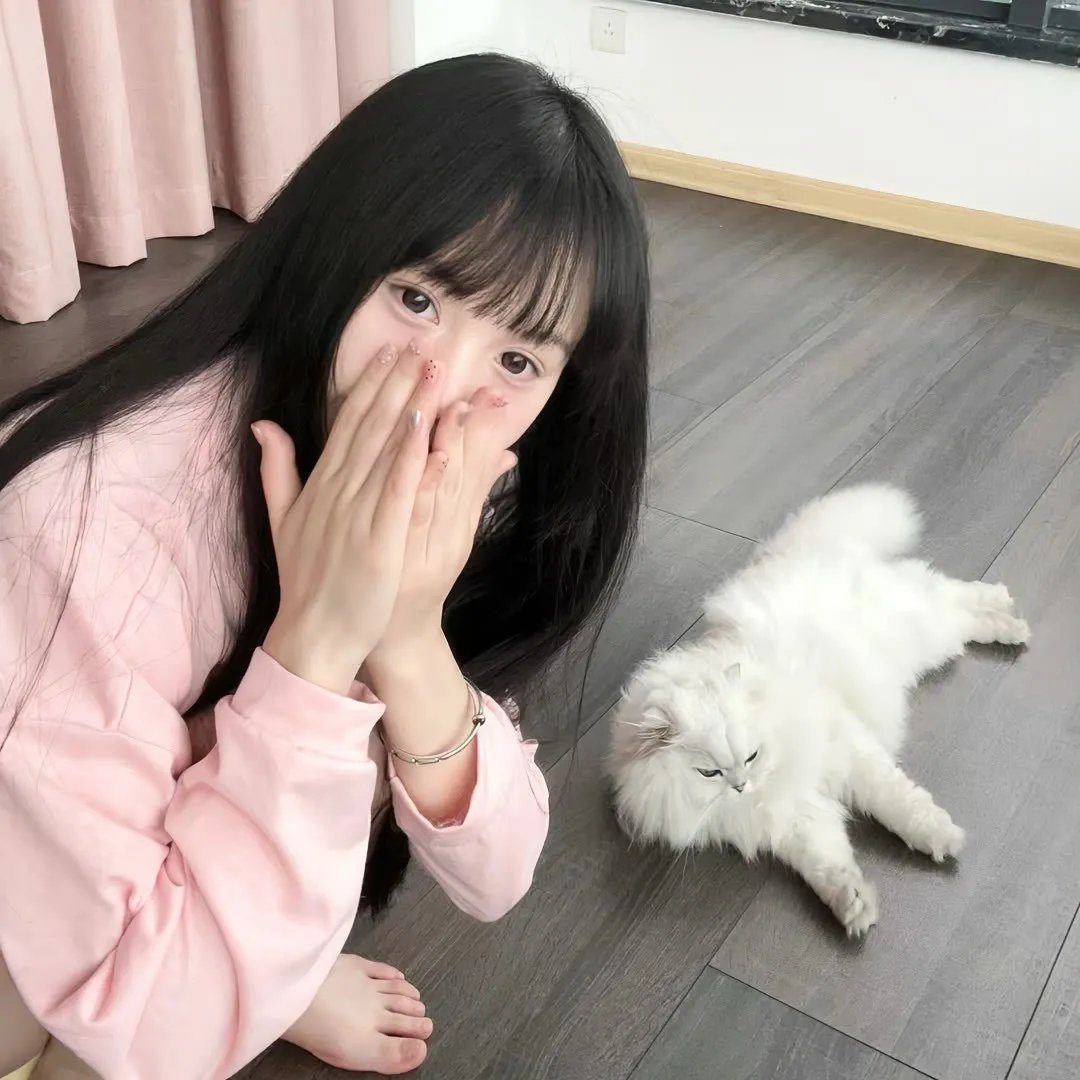 加菲猫和他的朋友们第三季